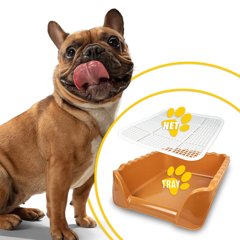 Lutema Indoor/Outdoor Training Dog Potty Tray for Small and Medium