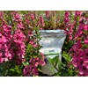 Soil Moist SAP Super Absorbent Polymer Soil Amendment and Water
