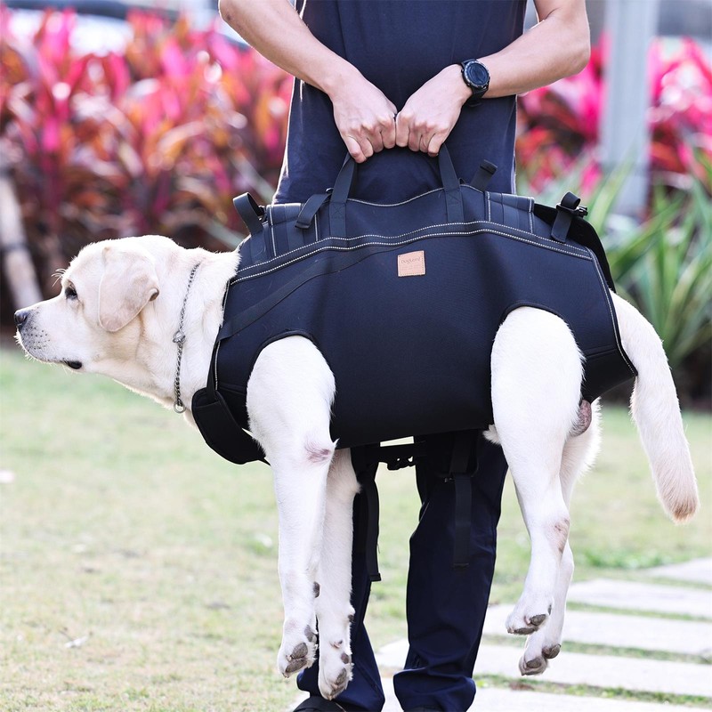 Backpack Carrier for Large Dog Full Body Dog Sling with