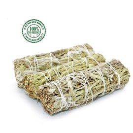 3 Pack 4 inch Green Dried Mullein Sage with Smudge Guide