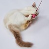 ペティオ (Petio) 猫用おもちゃ らくらくデンタルTOYじゃらし バタフライ 猫
