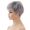 AIYLMZ Short Grey Wigs with Pixie Cut and Fringe for