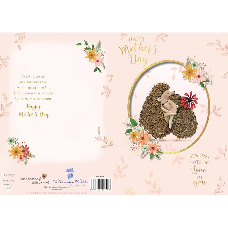 Wishing Well Cute Pop-Up Mother's Day Card With Hugging Hedgehogs