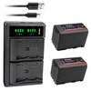 Kastar 2-Pack BP-950G Pro Battery and LTD2 USB Charger Compatible