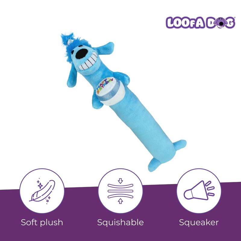 Multipet Loofa Dog Plush Toy w/ Birthday Hat - Squeaky