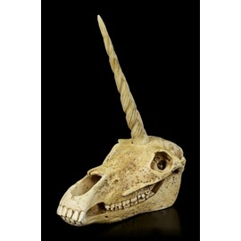 Figuren Shop GmbH Unicorn Fantasy Skull | Gothic Head Sculpture, Hand Painted, Horn for Screwing