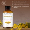 Helichrysum Essential Oil | 100% Pure and Natural | 1