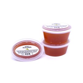 Set Of 3 Gel Melts™ of SALTED CARAMEL Aroma Gel Wax For Warmers And Burners By The Gel Candle Company PEEL, MELT AND ENJOY
