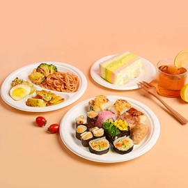 125 teiliges Pappteller und Besteck Set, Biologisch Abbaubar Einweggeschirr Kompostierbar, Zuckerrohr-Bagasse, Partygeschirr inklusive 17,8 und 22,9 cm Geschirr, Messer und Löffel, Grill, Camping