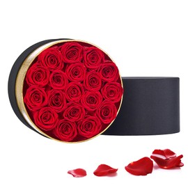 Preserved Roses in a Box Real Roses Rosebox That Last a Year Gift for Her Valentine's Day Anniversary Birthday Mother's day Christmas(Round Black Box, Red)
