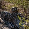 Mil-Tec US GI Boonie Trilaminate WASP I Z1B Size L,