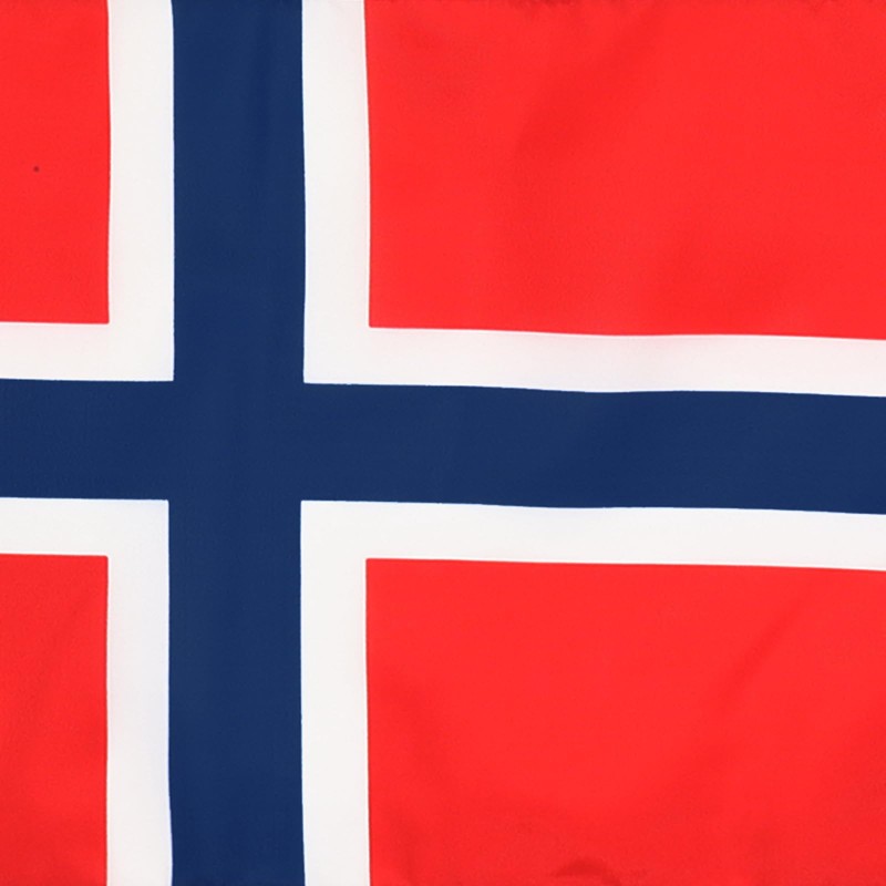 AZ FLAG Norway Flag 18'' x 12'' cords - Norwegian