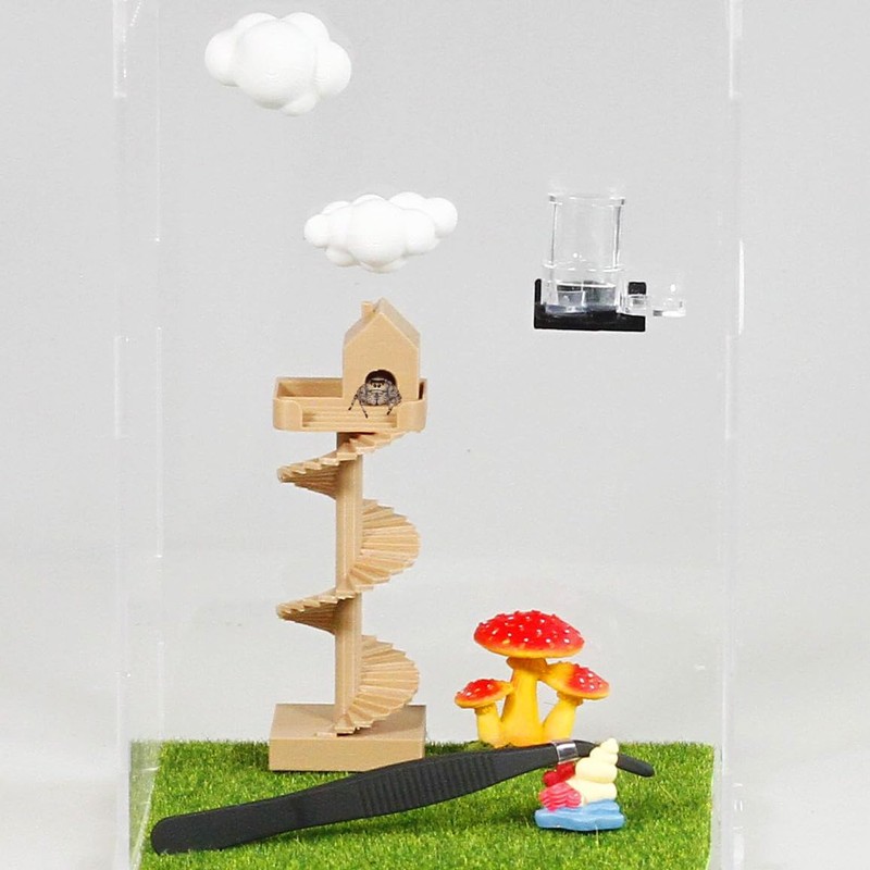3Pcs Jumping Spider Enclosure Accessories Mini Spider House with Spiral