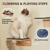 LIORCE Cat Wall Shelf with Two Steps - Wave Cat