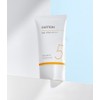 미샤 올 어라운드 세이프 블록 코튼선크림 SPF50+ PA++++, 50ml, 1개