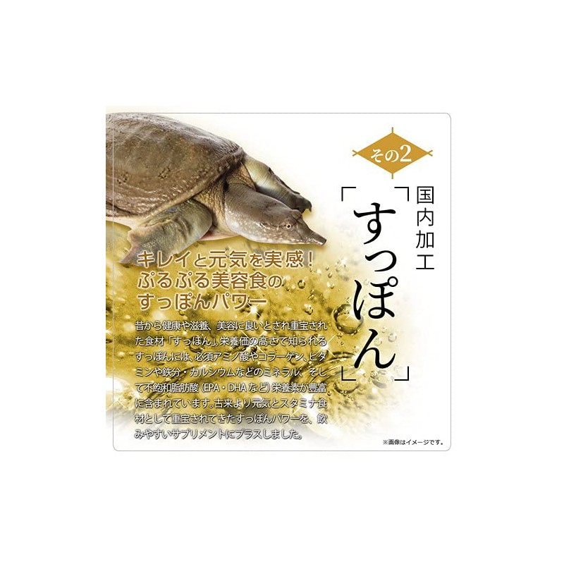 極・すっぽん黒酢粒 90粒 スッポン すっぽん サプリメント 黒酢 黒にんにく 黒ニンニク アミノ酸 クエン酸