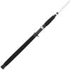 Berkley 7’ Big Game Casting Rod, One Piece Nearshore/Offshore Rod,