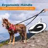 PetBonus Two Point Control Dog Leash, Works with No Pull