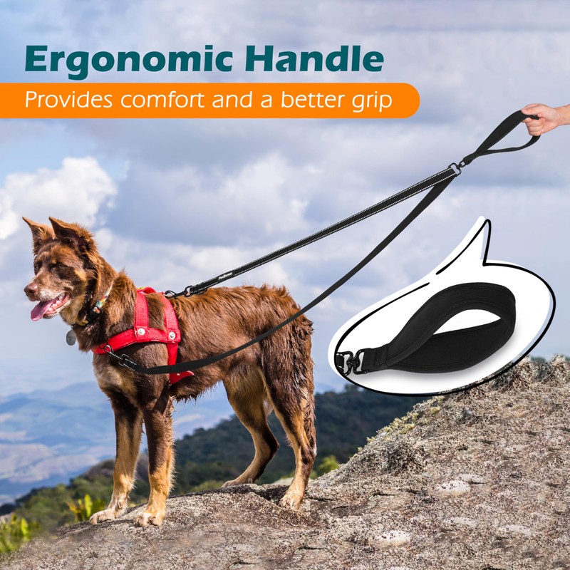 PetBonus Two Point Control Dog Leash, Works with No Pull