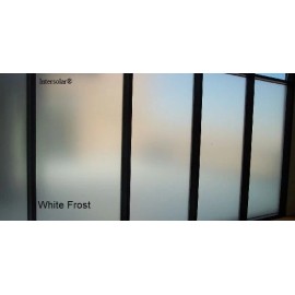 Intersolar® 20"x 20" Home/Office Privacy Frosted Window Tint Glass Self Adhesive Tinted Film