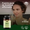 TIBET NATURA - Amla 60 Cápsulas 500 mg c/u -