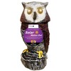 Owlsome Solar Red Owl with Flashing Eyes, Rotating Head, Hooting,