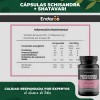 Schisandra Shatavari 500 Cápsulas Naturales