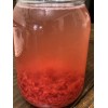 Homemade Carp Rice Pack Bait Forever Rice 12+ Pound Bag