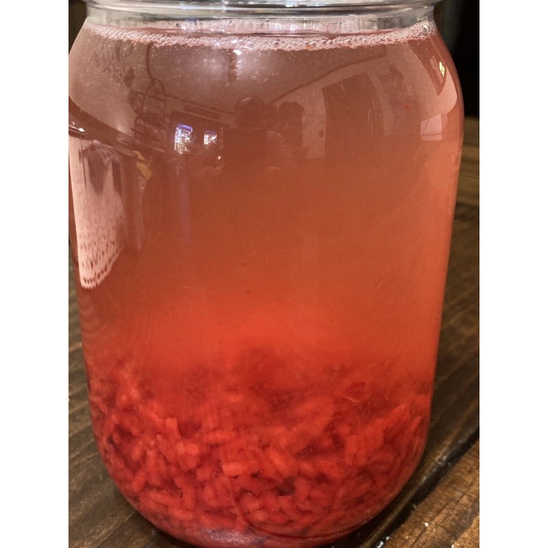 Homemade Carp Rice Pack Bait Forever Rice 12+ Pound Bag