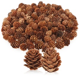 com-four® 200 x Decorative Cones Larch - Cones Decoration for Autumn and Winter - Cones Decoration - Small Larch Cones - Pine Cones (200 x Larch Cones Natural)