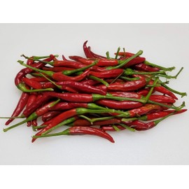 Thai Dragon Pepper 10+ Seeds
