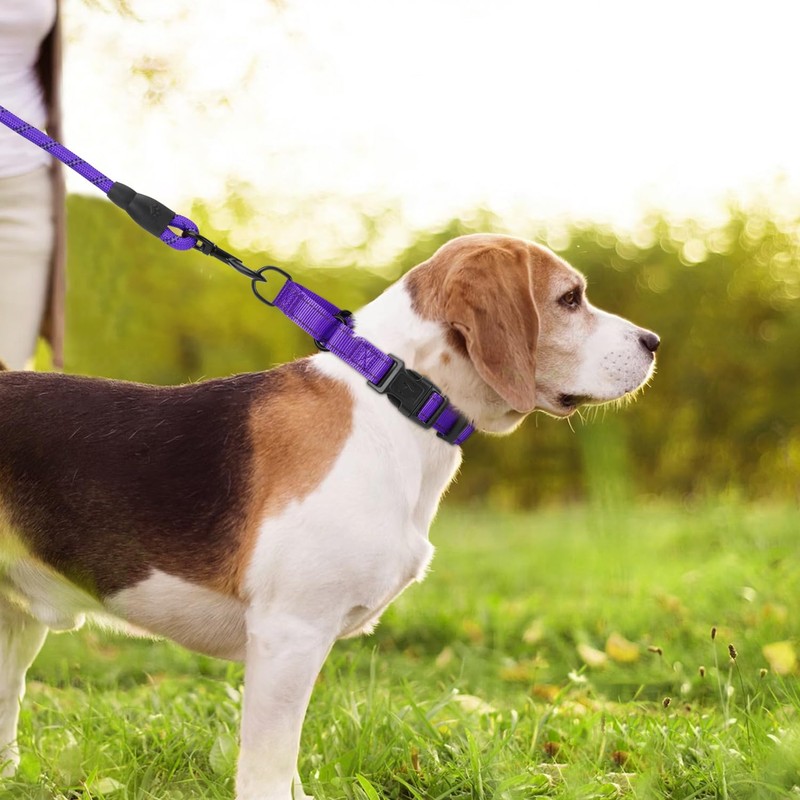 Erbine Martingale Collar for Dogs with Quick Release Buckle, Reflective