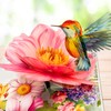 Happivue Pop Up Birthday Cards, Hummingbird Flowers Happy Birthday Card