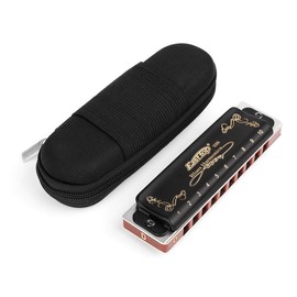 Easttop Professional Harmonica Blues Key of D 10 Hole 20 Tone Heavy Duty with Case & Cleaning Cloth for Professional Player,Beginner,by Eison-East Top,Black,Great Christmas Gift
