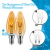 Brighfivey Amber Candelabra Bulb 25W Equivalent, 2W Ultra-Fine Filament E12