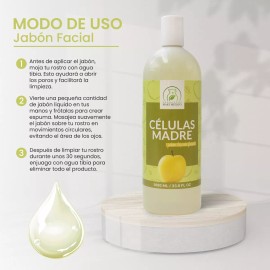 Productos Mart Mexico Jabón Facial De Células Madre Hidratante (1 Litro)
