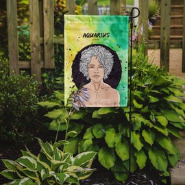 Caroline's Treasures BB7315GF Aquarius Zodiac Sign Garden Flag Mailbox Flag Decorative Yard Flag Banner Outside Patio Artwork Yard Flower Beds, Garden Size, Multicolor