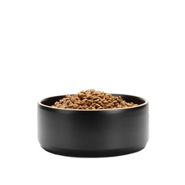 Waggo Edge Dog Bowl for Small Medium and Large Breeds - Clean Modern Matte Finish, Heavyweight and Durable Pet Food and Water Dish Crock, Dishwasher Safe (Black, 9 Cups)