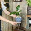 Spice CCGH1830BL Flower Pot Relief Planter, Triangle, No. 3, Diameter