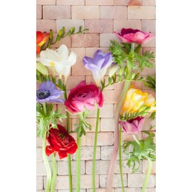 Flower Journal: Wildflower Notebook With Floral Design | Cute Lined Floral Journal | Beautiful Flower Journal Notebook | Gift Diary Gratitude | Floral ... 5 x 8 120 Pages (Floral Notebooks For Women)