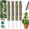 Fabulas 55 Inch Moss Pole Monstera Plant Support, 4 Pack