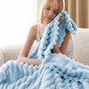 Bedsure Super Soft Blue Throw Blanket - Fuzzy Bed Blankets
