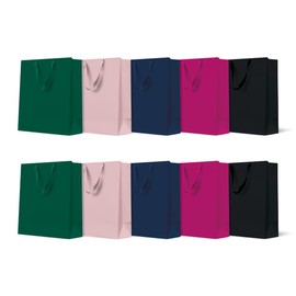 PAW - Gift Bags 20 x 25 x 10 cm - Pack of 10 Gift Bags with Fabric Handles | Mix of 5 Plain Colours | Elegant Bags for Birthdays, Weddings, Baby Showers, Parties and Gifts