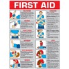 First Aid Laminated Poster 24" X 36"