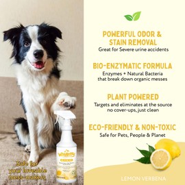 Wee Away All in One Pro Stain & Odor Remover, Enzyme Cleaner, Pet Urine Odor Eliminator for Home - Pet Mess Destroyer for Carpet & Furniture, Lemon Verbena Scent, 32 fl oz
