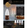SHALHEVET LIGHT Kosher Shabbat Lamp LED with Dimmer, USB Charge,