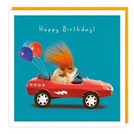 Tracks Publishing Male Funny Birthday Card - Happy Birthday Card with Hamster and Racing Car Design and Fluff Embellishment - Birthday Card for Men or Boys