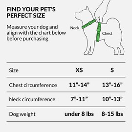 CollarDirect Rolled Leather Dog Harness Small Puppy Step-in Leash Lead Set for Walking 10 Colors (Black, XS)