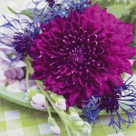 Tiflair Dahlia and Cornflower Lunch Napkins 3 ply