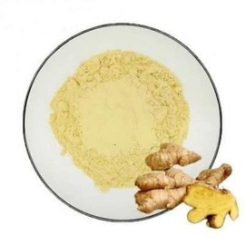 갈랑갈추출분말 100g Galangal Extract Powder 100g